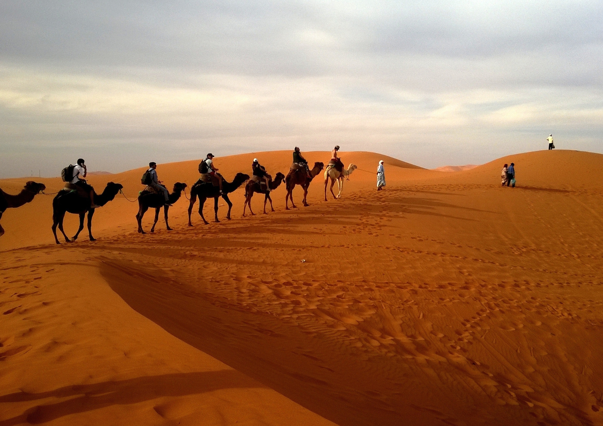 Moroccan Sahara Desert Expedition